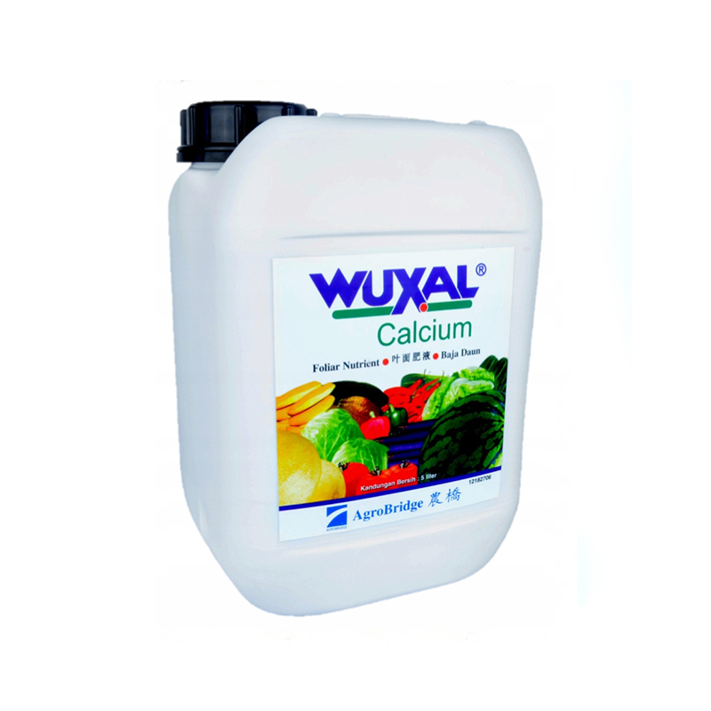 Ingrasamant foliar WUXAL Calcium 10L Agronor